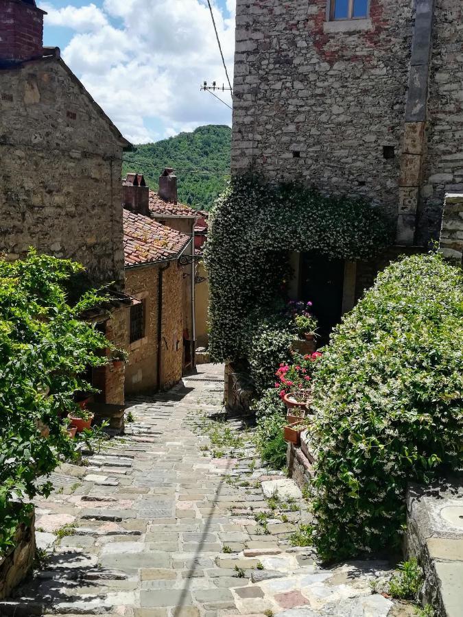 Casa Di Gaia Sassetta Exterior photo